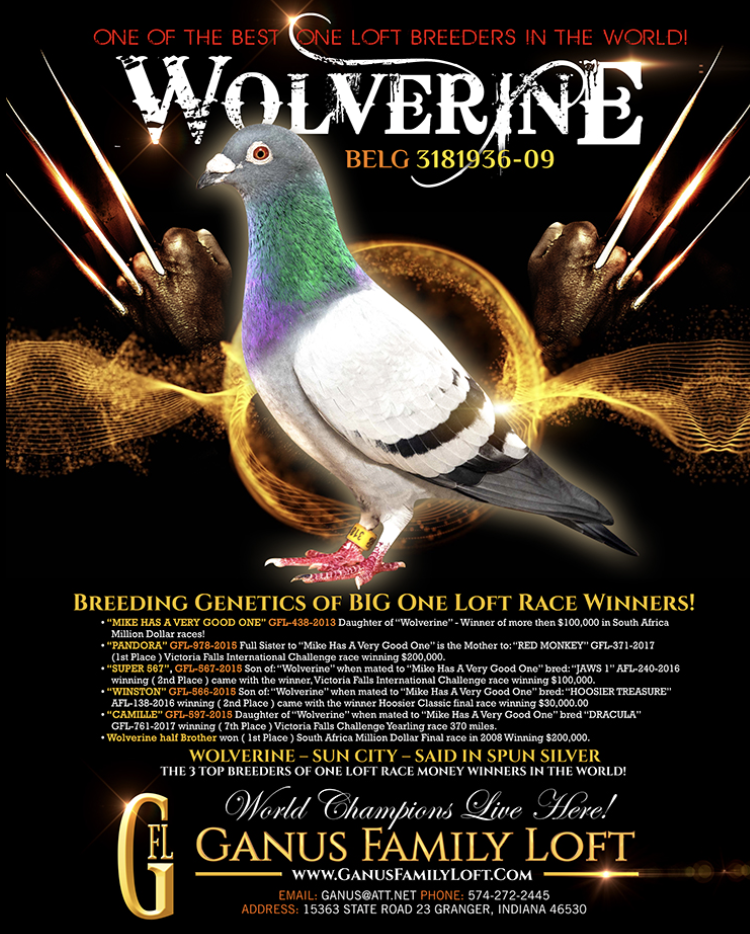 GLEN STEELHAMMER LOFT REDUCTION