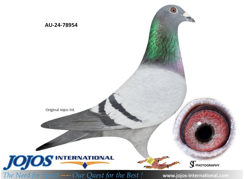 AU 78954 - Kittel Leo Heremans