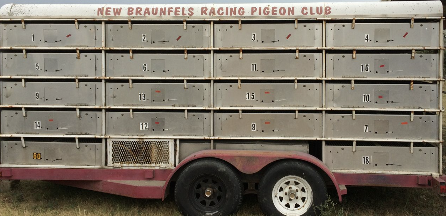 NEW BRAUNFELS RC FUNDRAISER!!