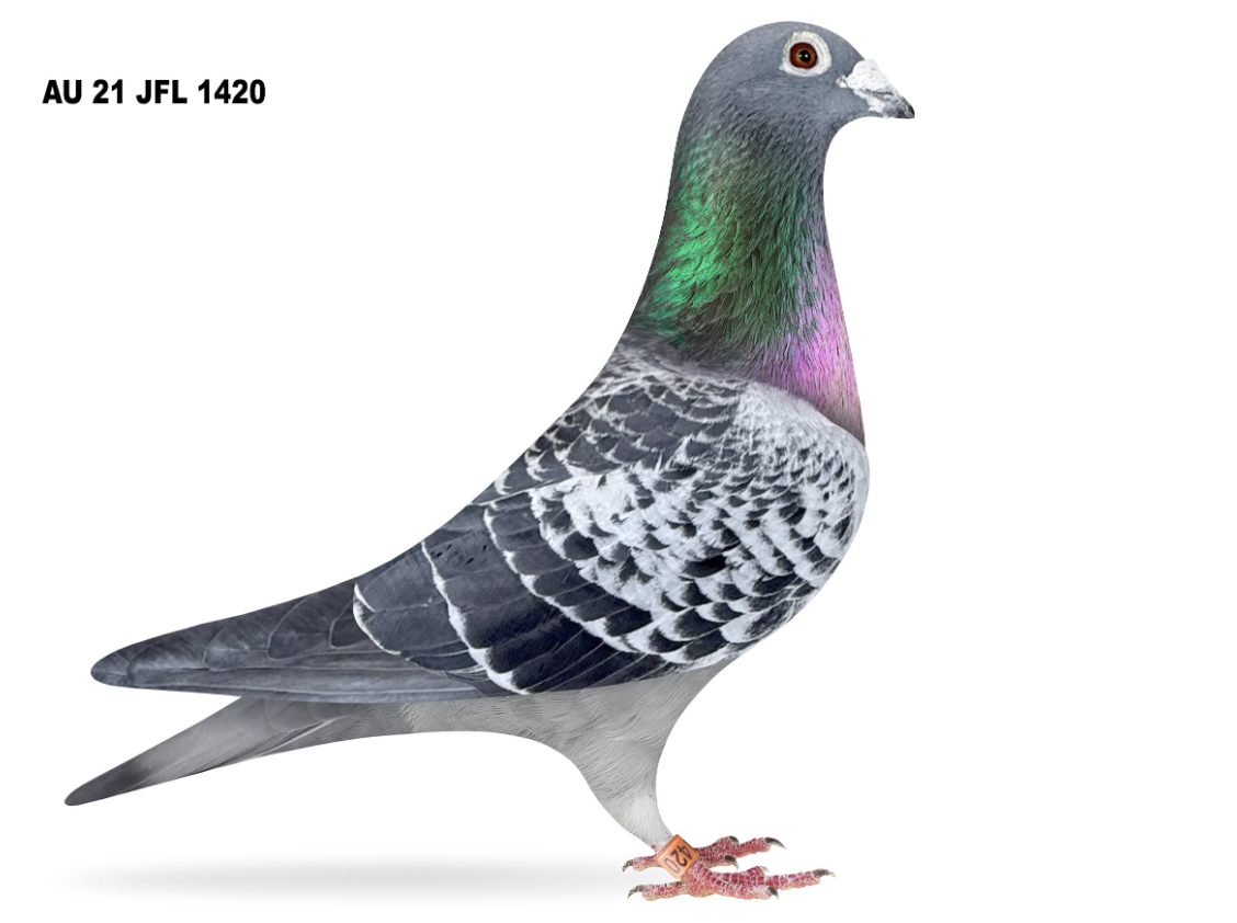 JFL 1420 - 2x 1st Combine