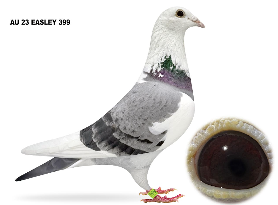 EASLEY 399 - GTS and Wacko 694