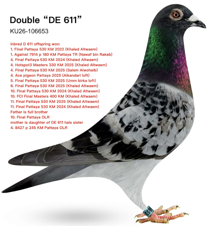 KT 106653 - Inbred 611