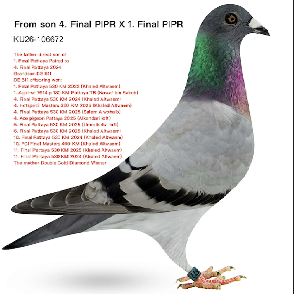 KT 106672 - Successor 611