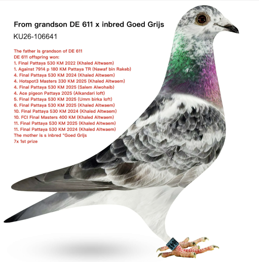 KT 106641 - 611 Goed Grijs