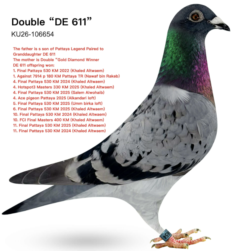 KT 106654 - Inbred Gold Diamond Winner