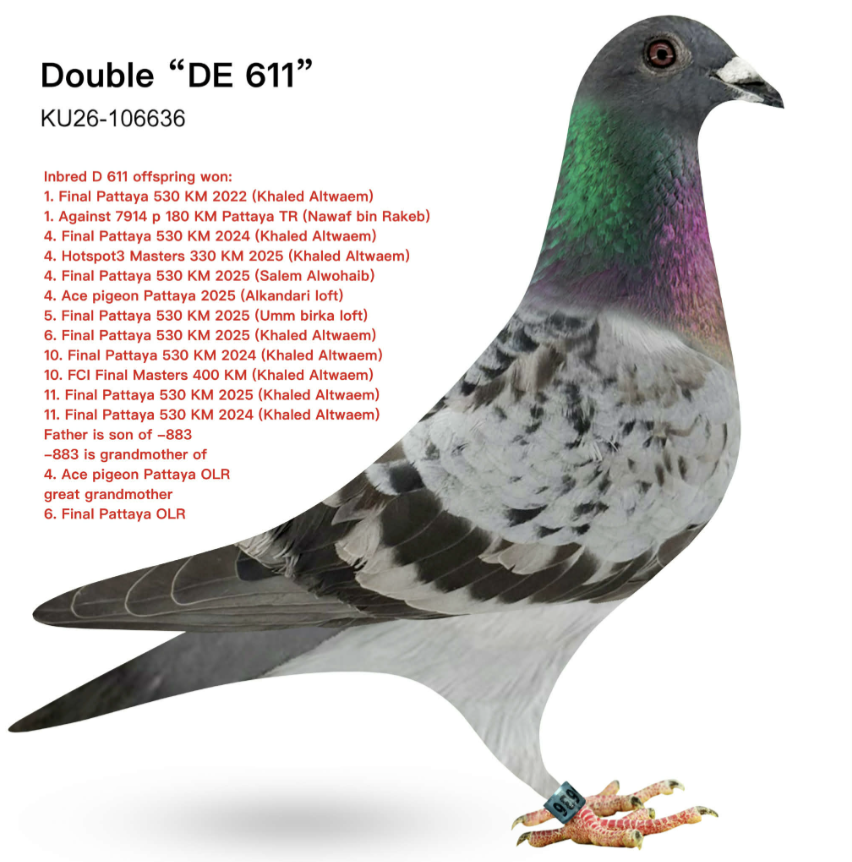 KT 106636 - Inbred 611