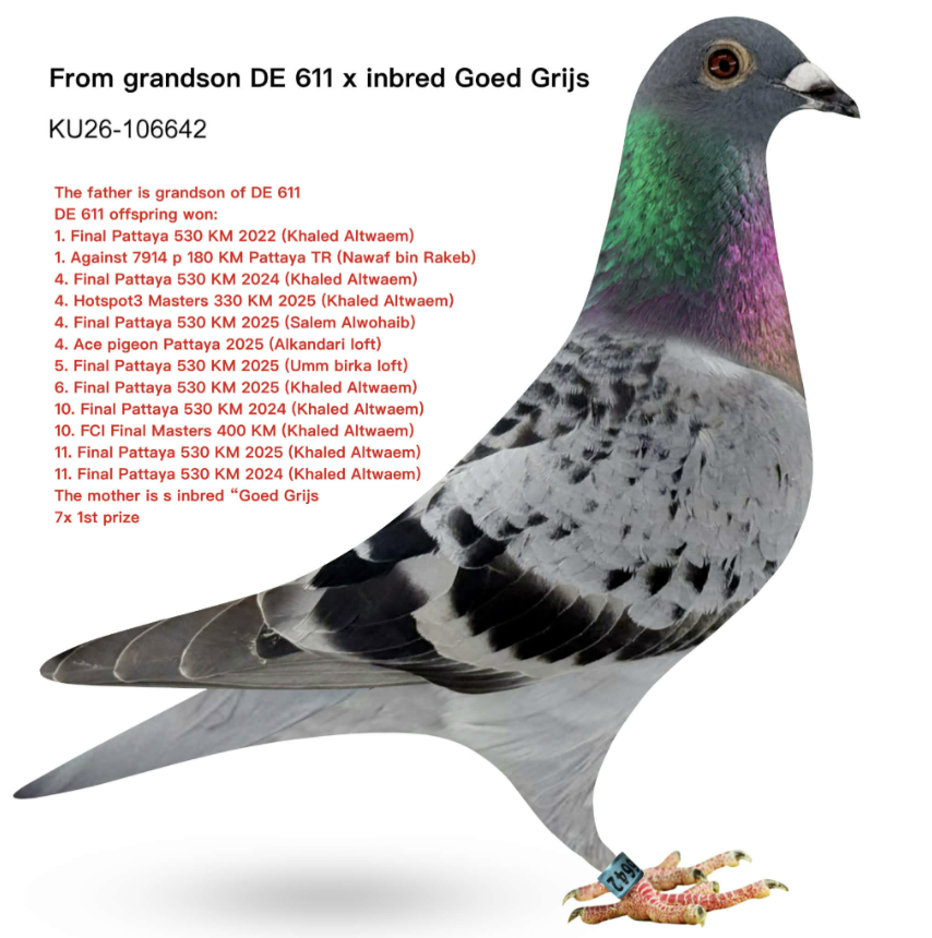 KT 106642 - Goed Grijs 611