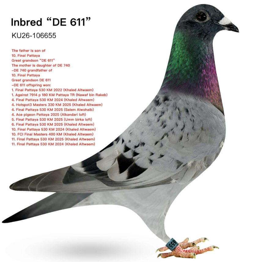 KT 106655 - Inbred 611