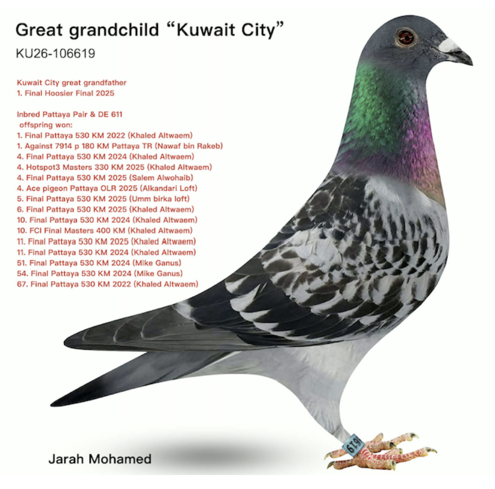 KT 106619 - De 611 Inbred