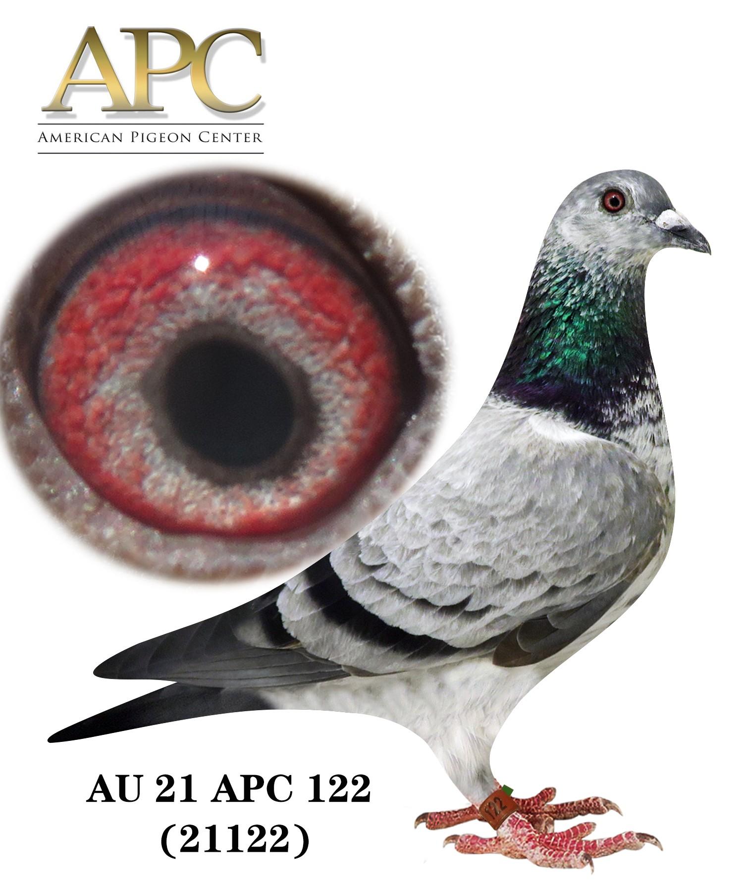 AU 21 APC 21122 - Proven APC Winning Family