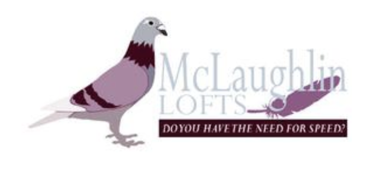 (1) 2026 Youngster McLaughlin Lofts!