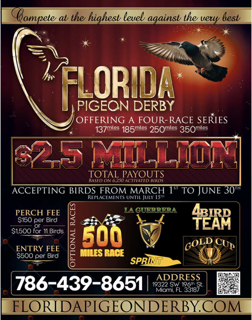 (3) Perches Florida Pigeon Derby