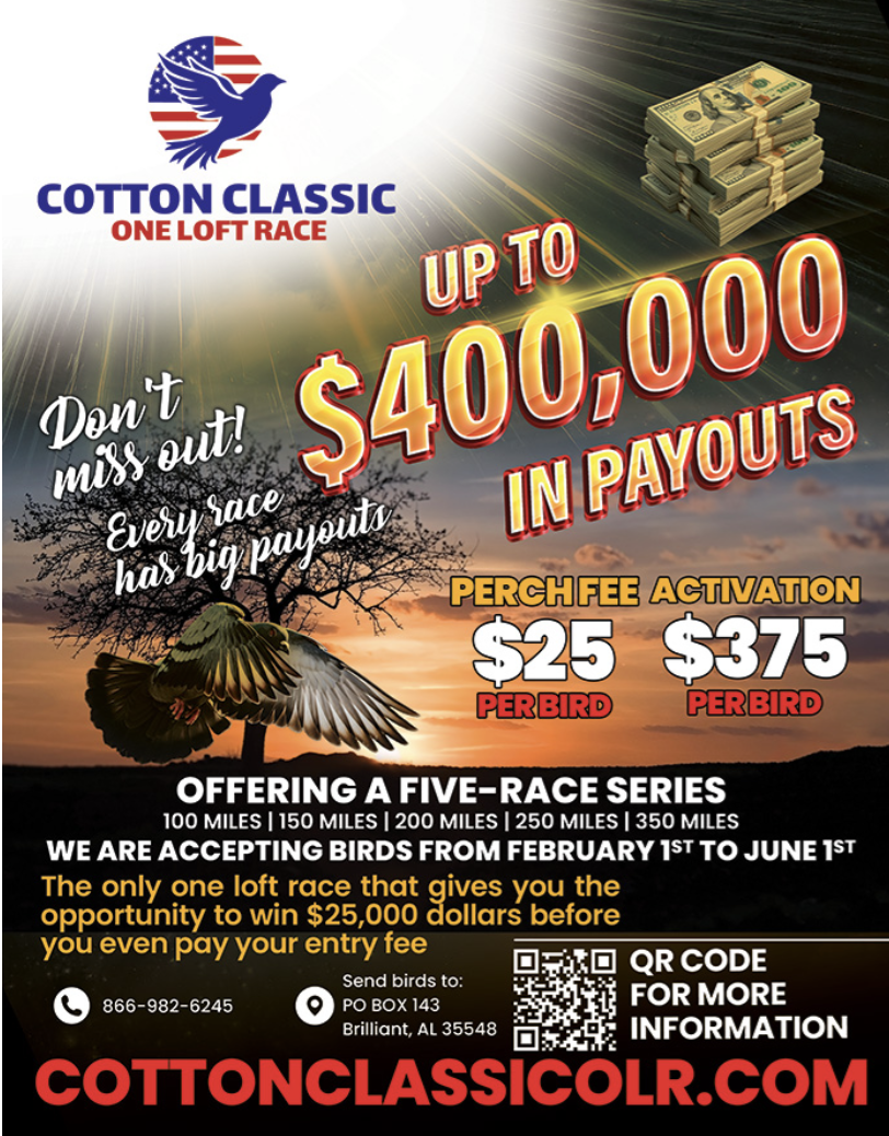 (4) Perches Cotton Classic!