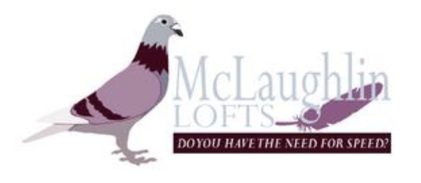 (2) 2026 Young Birds McLaughlin Lofts!