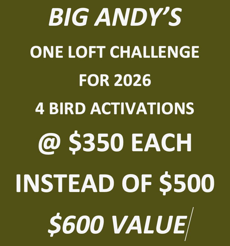 UP TO 4 ACTIVATION FEES Big Andys One Loft Race!