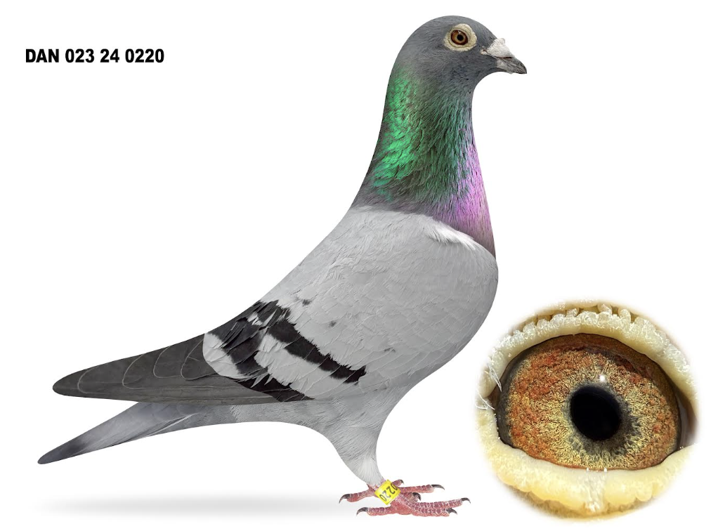 023 24 0220 - Kittel!!