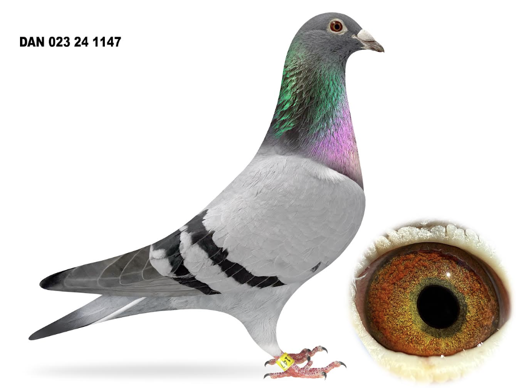 023 24 1147 - Inbred Laura!