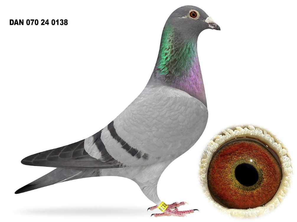 070 24 0138 - New Kannibaal!