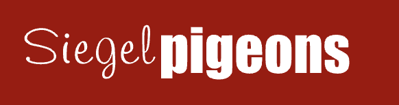 (3) 2026 Young Birds Ed Minneville