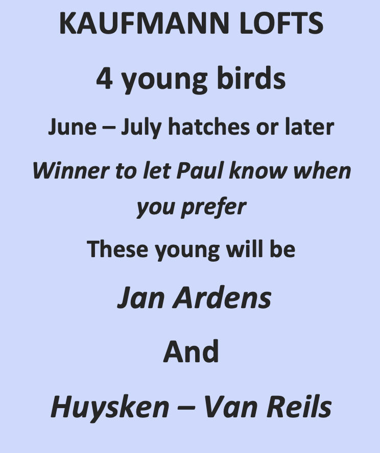 (4) 2026 Young Birds Kauffman Lofts!