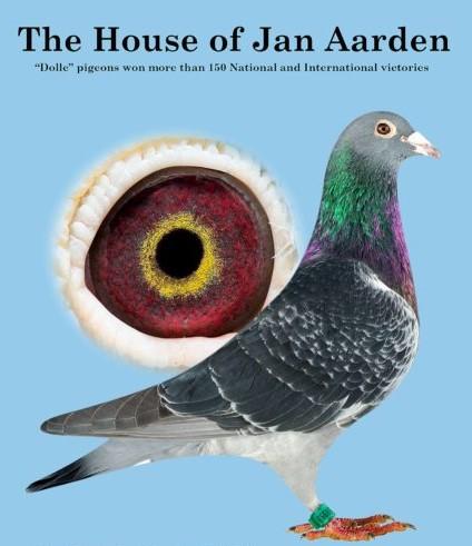 The House of Aarden USA