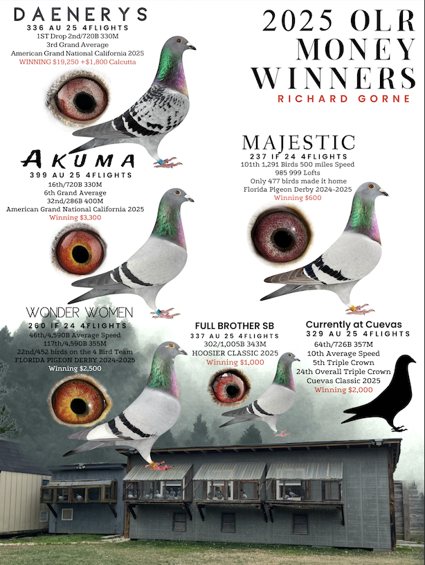 4FLIGHTS LOFT - OLR SuperStar!