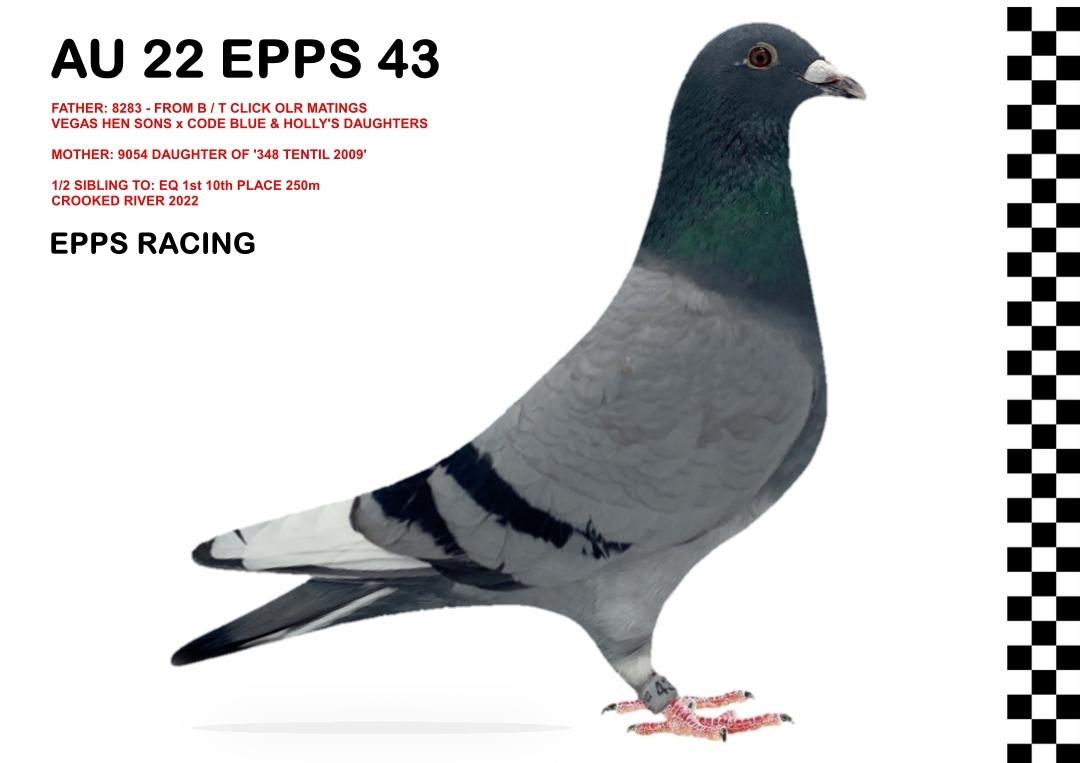 AU 22 EPPS 43 - Baldwin/Tilson