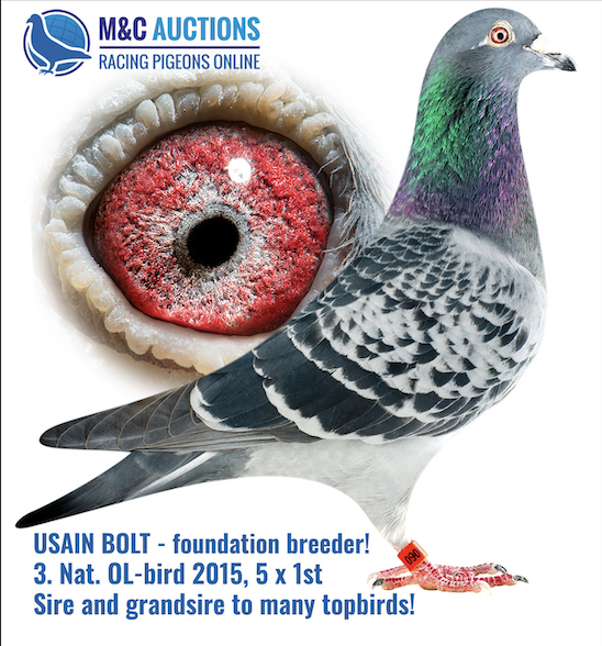 M & C HANSEN -- CHAMPION FANCIERS