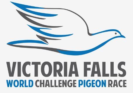 Enduro Race Performance Pigeons