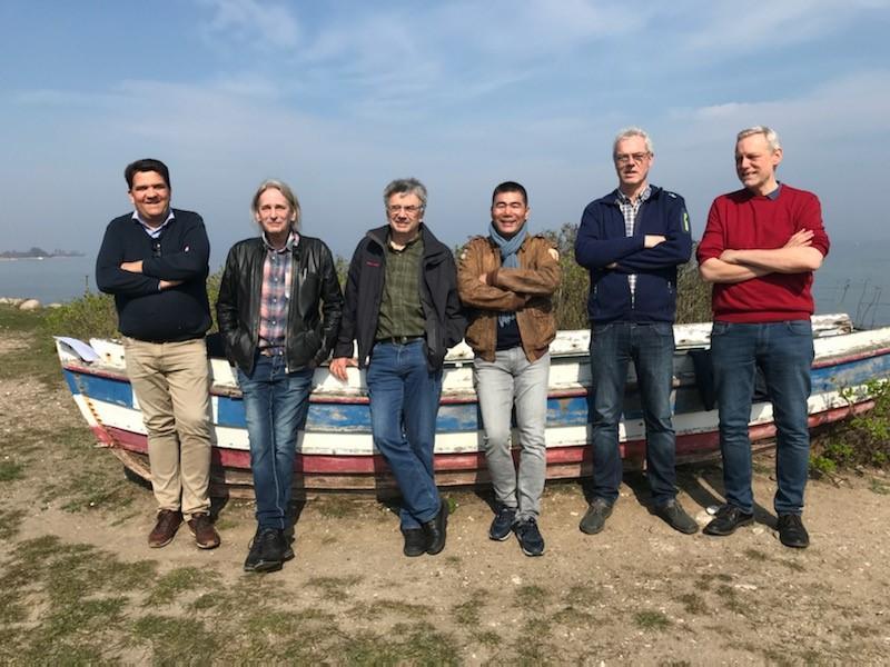 ZG HELIOS Breeding  - International One Loft Superstars