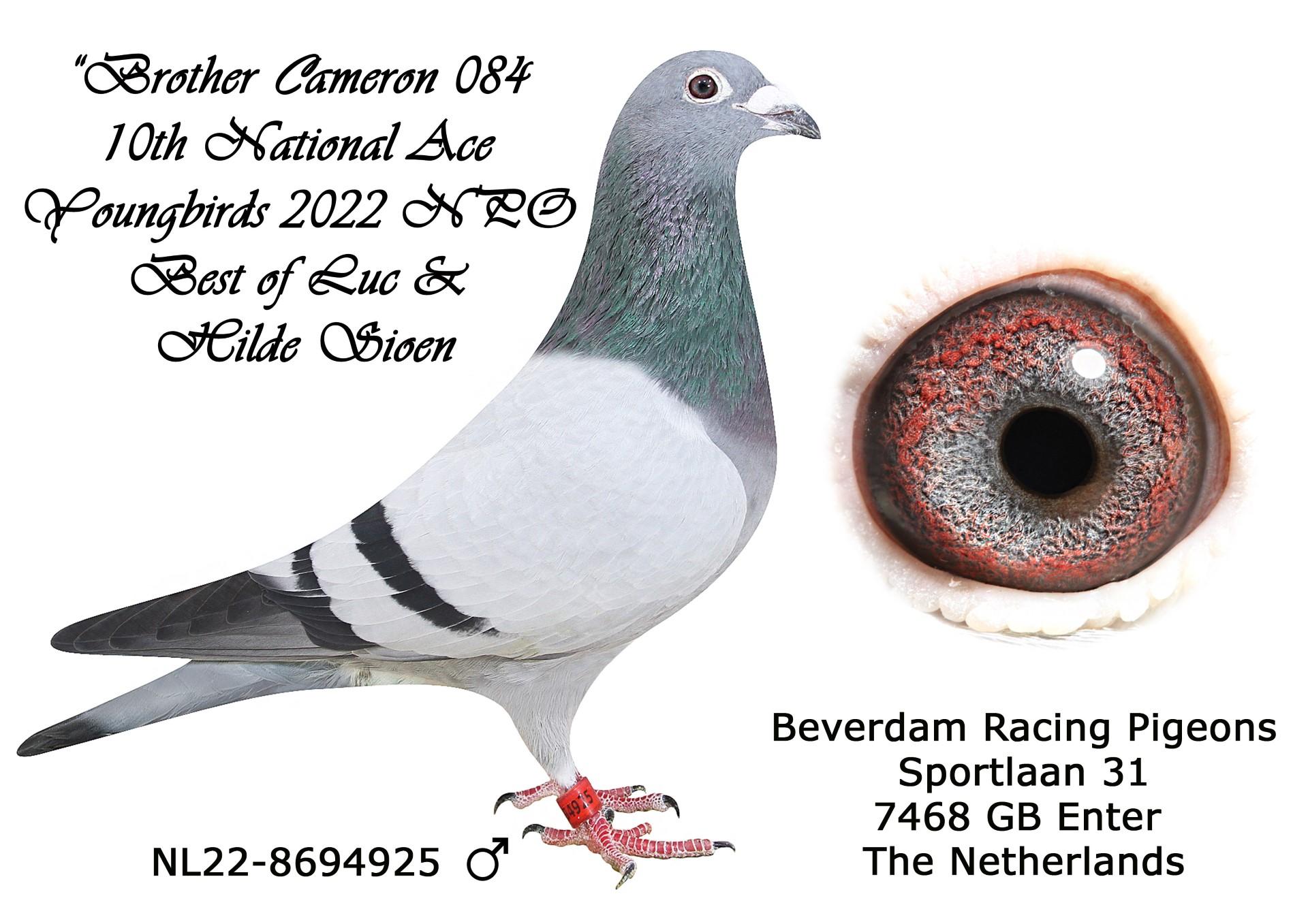 NL 22 8694925 - Brother 10th National Ace YBs 2022 NPO