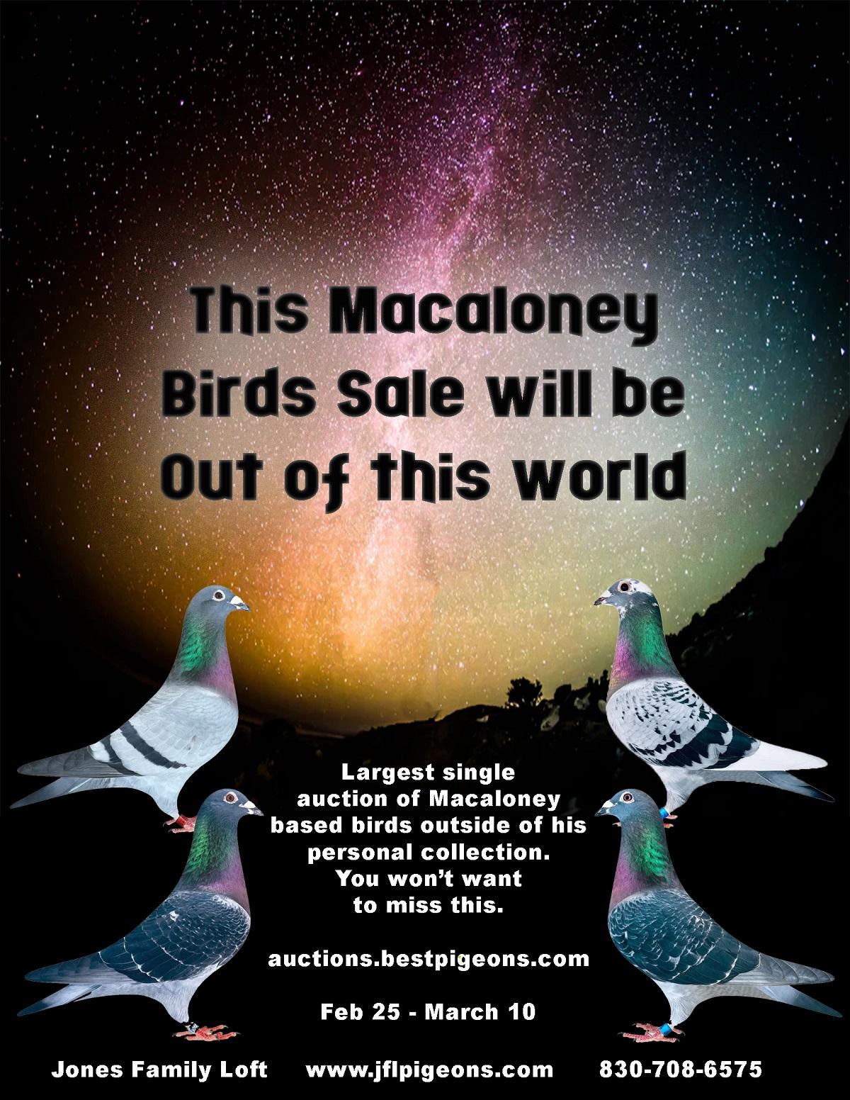 Macaloney Auction - Jones Family Loft